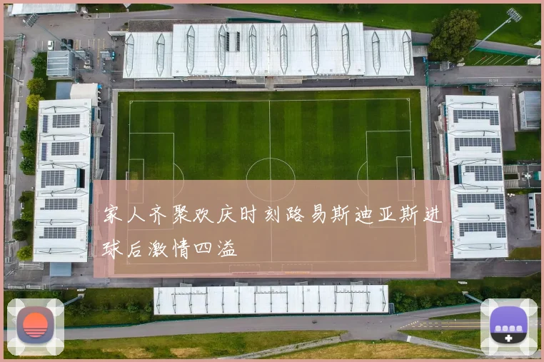 家人齐聚欢庆时刻路易斯迪亚斯进球后激情四溢